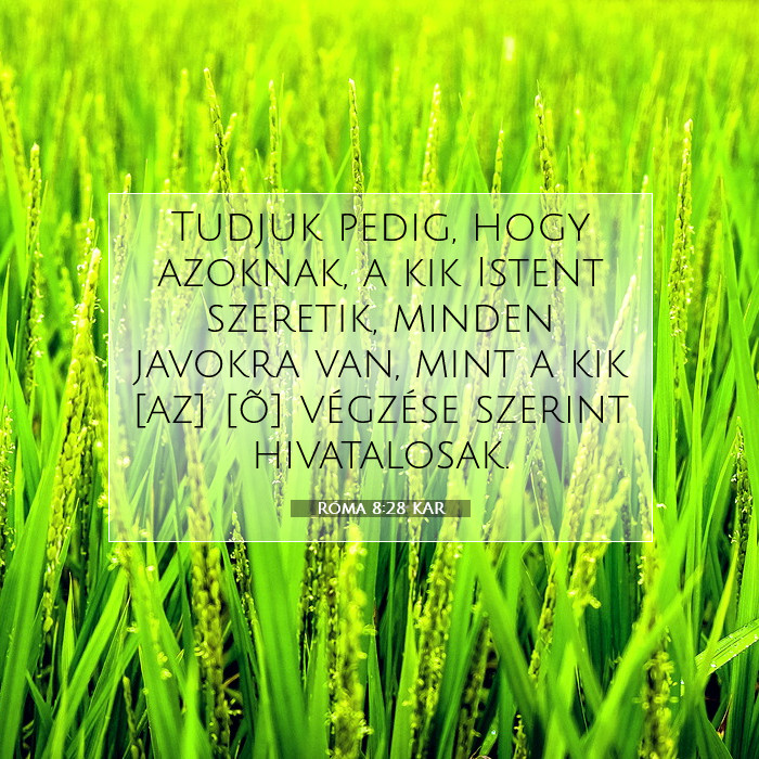 Róma 8:28 Bibliai kommentár
