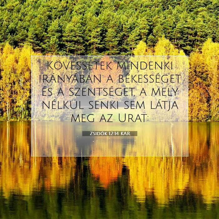 Zsidók 12:14