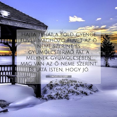 1 Mózes 1:12 Bibliai vers magyarázata