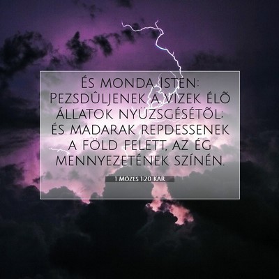 1 Mózes 1:20 Bibliai vers magyarázata