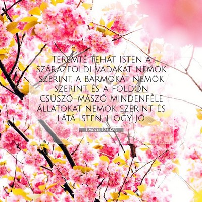 1 Mózes 1:25 Bibliai vers magyarázata