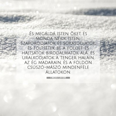 1 Mózes 1:28 Bibliai vers magyarázata