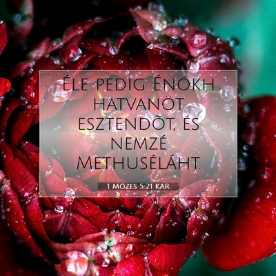 1 Mózes 5:21 Bibliai vers magyarázata
