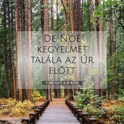 1 Mózes 6:8 Bibliai vers magyarázata