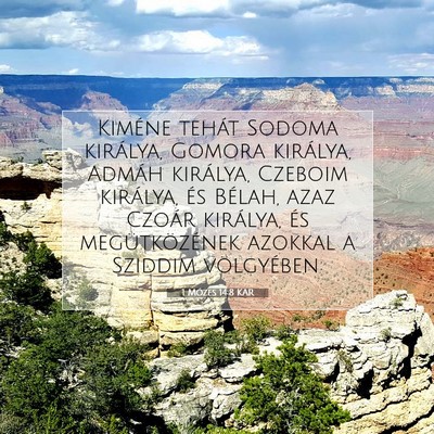 1 Mózes 14:8 Bibliai vers magyarázata