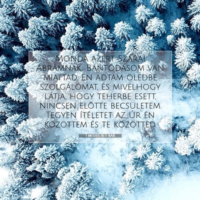 1 Mózes 16:5 Bibliai vers magyarázata