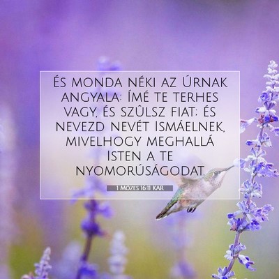 1 Mózes 16:11 Bibliai vers magyarázata