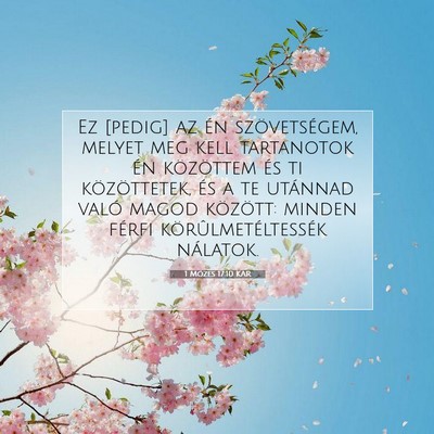 1 Mózes 17:10 Bibliai vers magyarázata