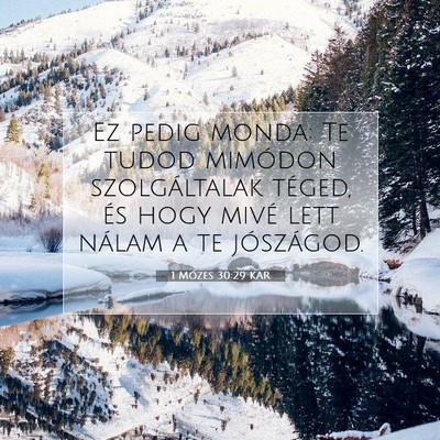1 Mózes 30:29 Bibliai vers magyarázata