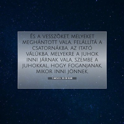 1 Mózes 30:38 Bibliai vers magyarázata