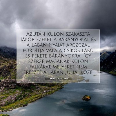 1 Mózes 30:40 Bibliai vers magyarázata