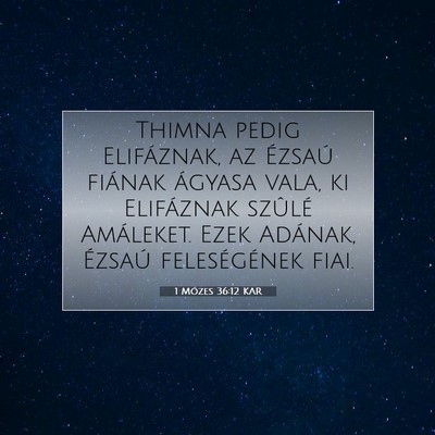 1 Mózes 36:12 Bibliai vers magyarázata