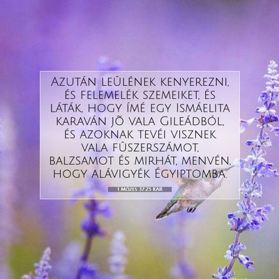 1 Mózes 37:25 KAR Bibliai verskép