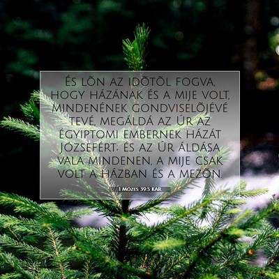 1 Mózes 39:5 Bibliai vers magyarázata