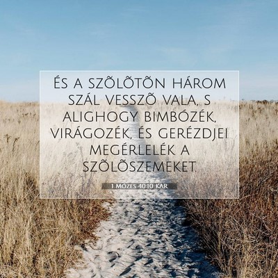 1 Mózes 40:10 Bibliai vers magyarázata