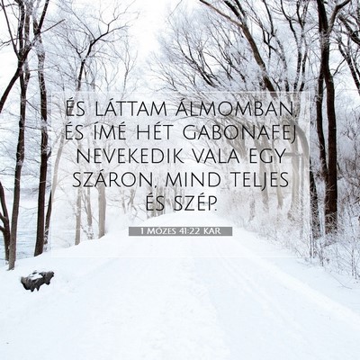 1 Mózes 41:22 Bibliai vers magyarázata