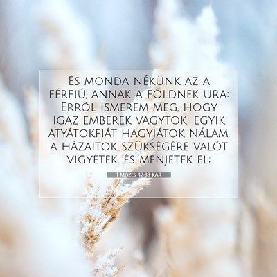 1 Mózes 42:33 Bibliai vers magyarázata