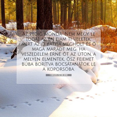 1 Mózes 42:38 Bibliai vers magyarázata