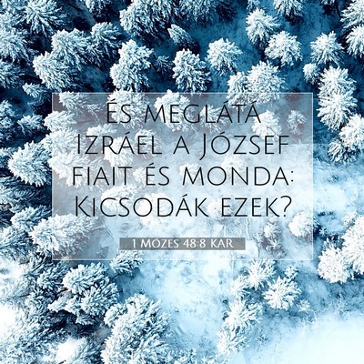 1 Mózes 48:8 Bibliai vers magyarázata