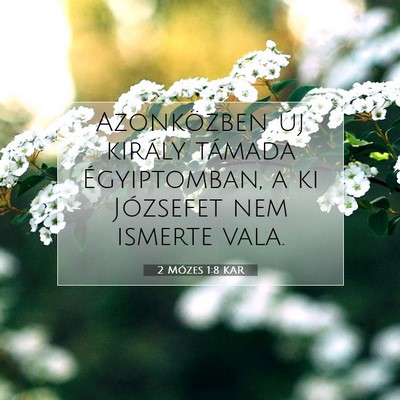 2 Mózes 1:8 Bibliai vers magyarázata