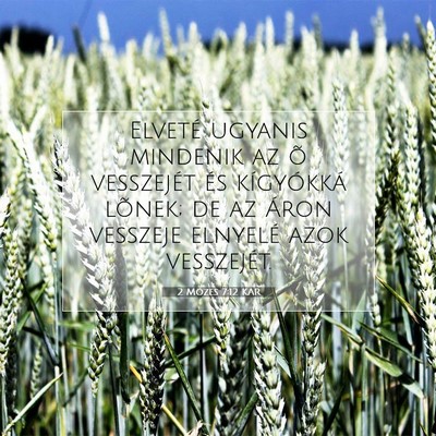 2 Mózes 7:12 KAR Bibliai verskép