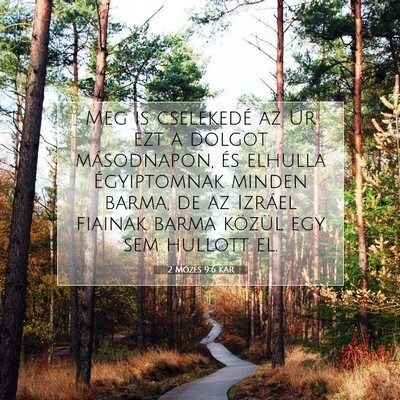 2 Mózes 9:6 KAR Bibliai verskép