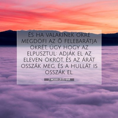 2 Mózes 21:35 Bibliai vers magyarázata