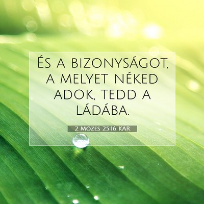2 Mózes 25:16 Bibliai vers magyarázata