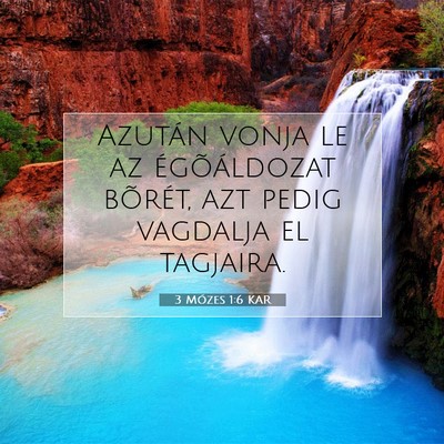 3 Mózes 1:6 Bibliai vers magyarázata