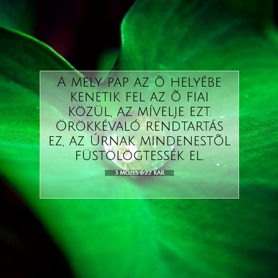 3 Mózes 6:22 KAR Bibliai verskép