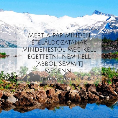 3 Mózes 6:23 Bibliai vers magyarázata