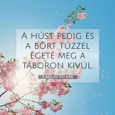 3 Mózes 9:11 KAR Bibliai verskép