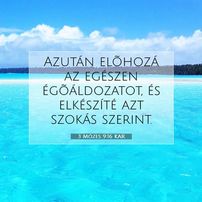 3 Mózes 9:16 Bibliai vers magyarázata