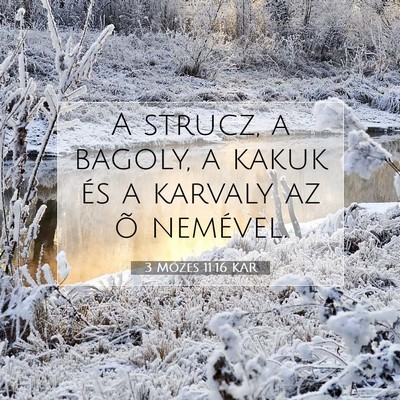 3 Mózes 11:16 Bibliai vers magyarázata