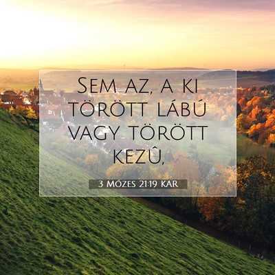 3 Mózes 21:19 Bibliai vers magyarázata