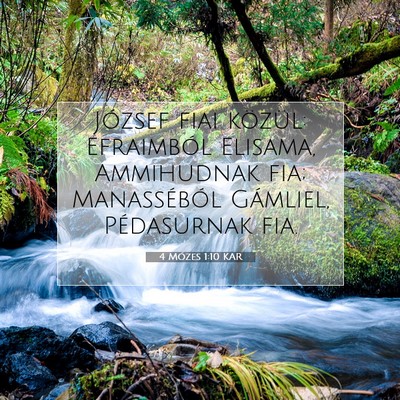 4 Mózes 1:10 Bibliai vers magyarázata