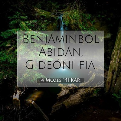 4 Mózes 1:11 Bibliai vers magyarázata