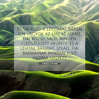 4 Mózes 3:41 Bibliai vers magyarázata