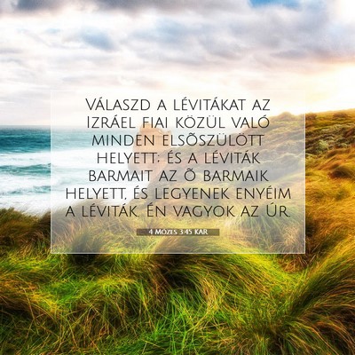 4 Mózes 3:45 Bibliai vers magyarázata
