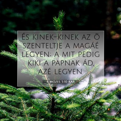 4 Mózes 5:10 Bibliai vers magyarázata