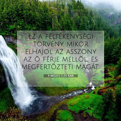 4 Mózes 5:29 Bibliai vers magyarázata