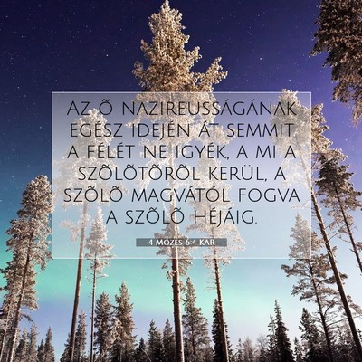 4 Mózes 6:4 Bibliai vers magyarázata