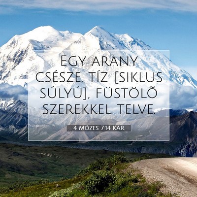 4 Mózes 7:14 Bibliai vers magyarázata