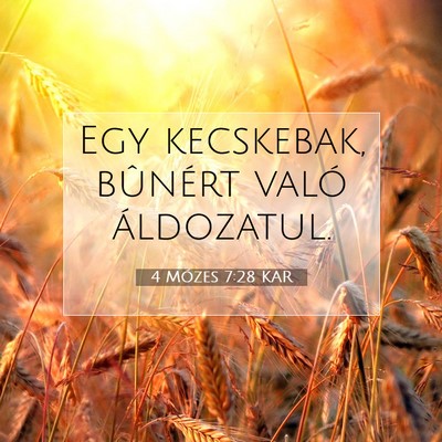 4 Mózes 7:28 Bibliai vers magyarázata