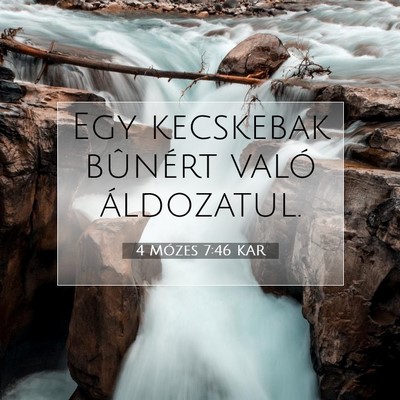 4 Mózes 7:46 Bibliai vers magyarázata