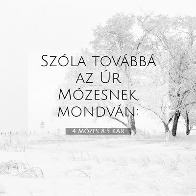 4 Mózes 8:5 Bibliai vers magyarázata