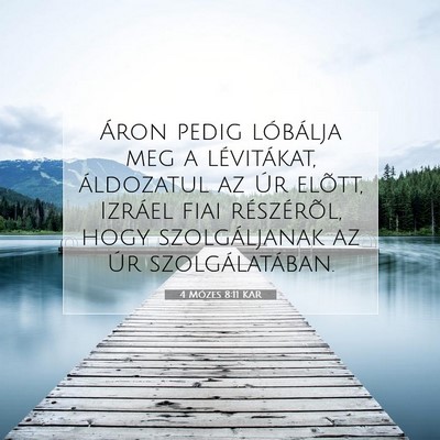 4 Mózes 8:11 Bibliai vers magyarázata