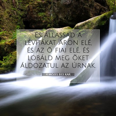 4 Mózes 8:13 Bibliai vers magyarázata