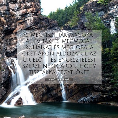 4 Mózes 8:21 Bibliai vers magyarázata