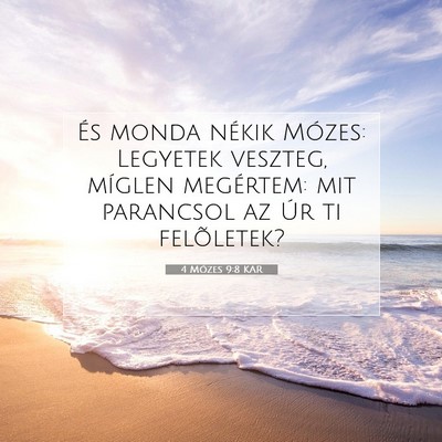 4 Mózes 9:8 Bibliai vers magyarázata